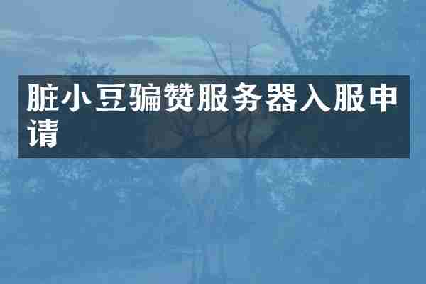 脏小豆骗赞服务器入服申请