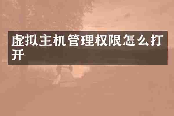 虚拟主机管理权限怎么打开