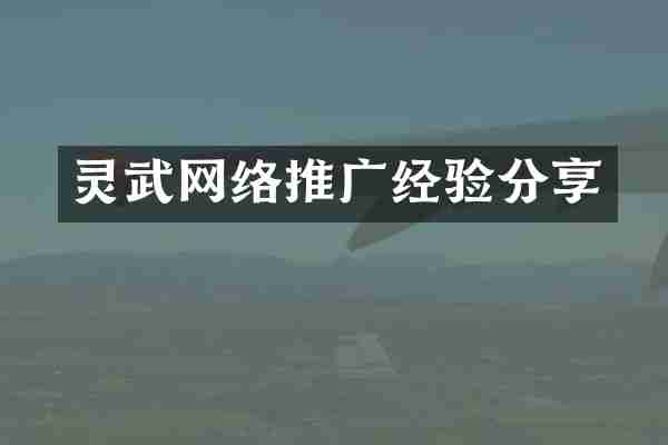 灵武网络推广经验分享