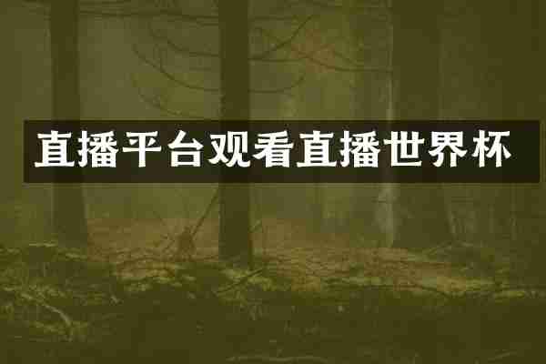 直播平台观看直播世界杯