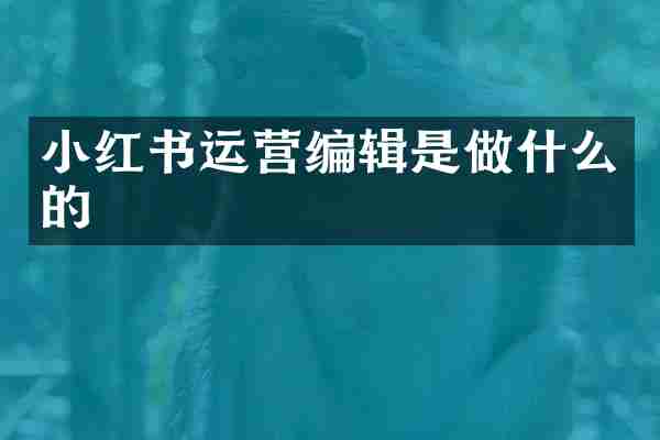 小红书运营编辑是做什么的