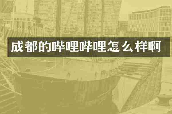 成都的哔哩哔哩怎么样啊