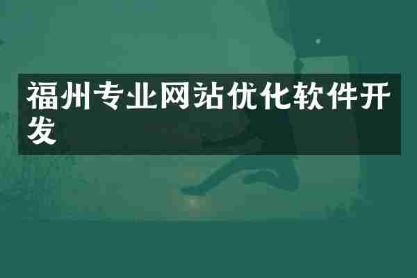 福州专业网站优化软件开发