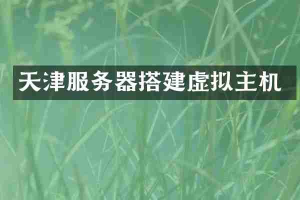 天津服务器搭建虚拟主机