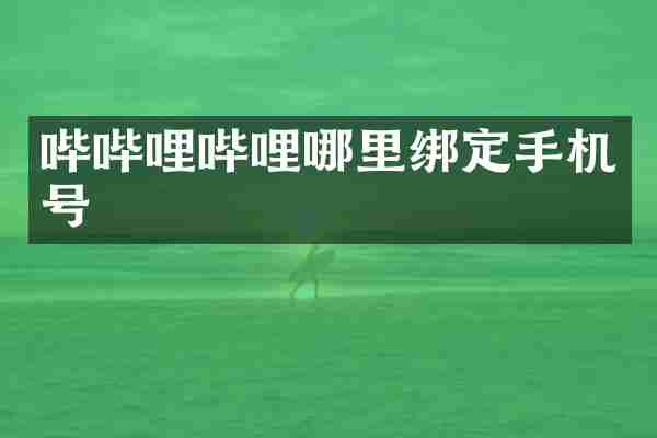 哔哔哩哔哩哪里绑定手机号