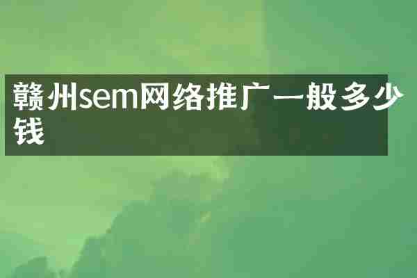 赣州sem网络推广一般多少钱