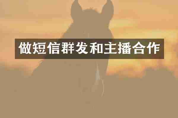 做短信群发和主播合作
