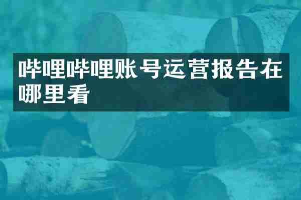 哔哩哔哩账号运营报告在哪里看