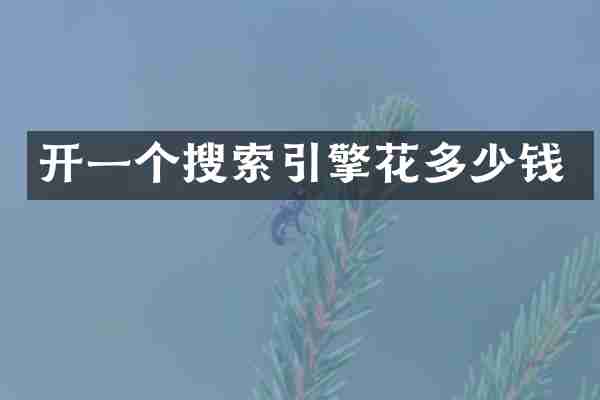 开一个搜索引擎花多少钱