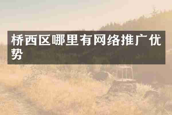 桥西区哪里有网络推广优势