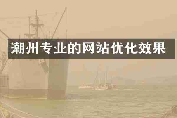 潮州专业的网站优化效果