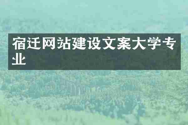 宿迁网站建设文案大学专业