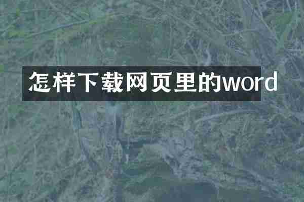 怎样下载网页里的word