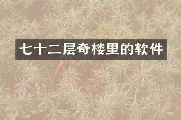 七十二层奇楼里的软件