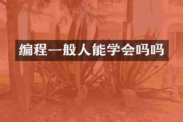 编程一般人能学会吗吗