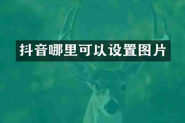 抖音哪里可以设置图片