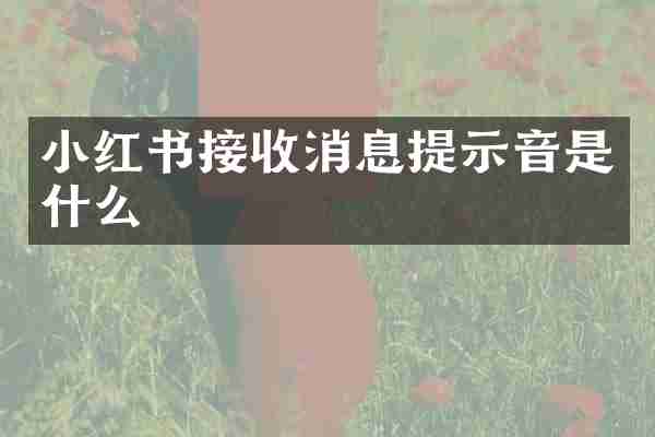 小红书接收消息提示音是什么
