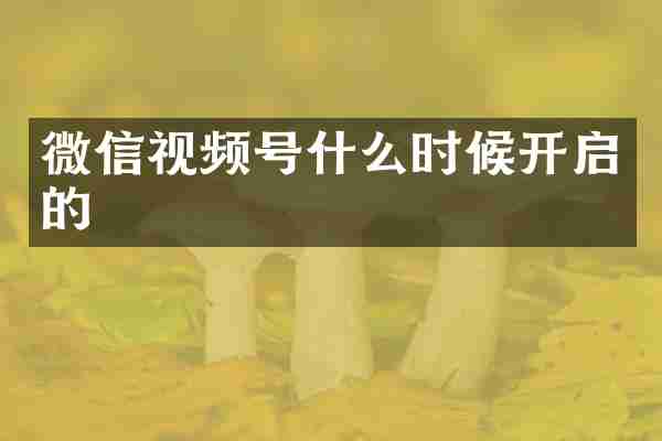 微信视频号什么时候开启的