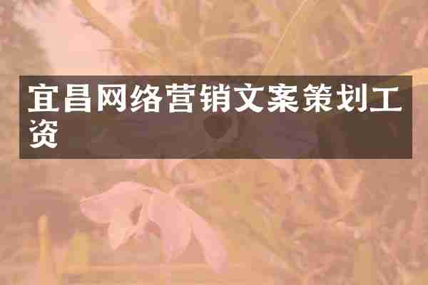 宜昌网络营销文案策划工资