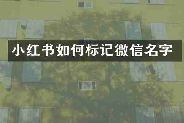 小红书如何标记微信名字