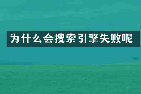 为什么会搜索引擎失败呢