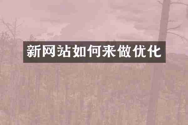 新网站如何来做优化