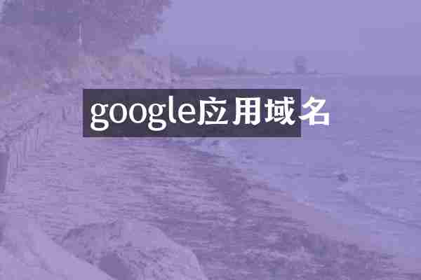 google应用域名