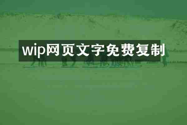 wip网页文字免费复制