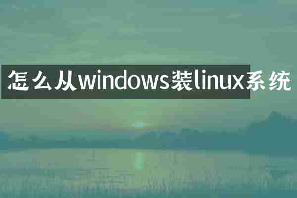 怎么从windows装linux系统