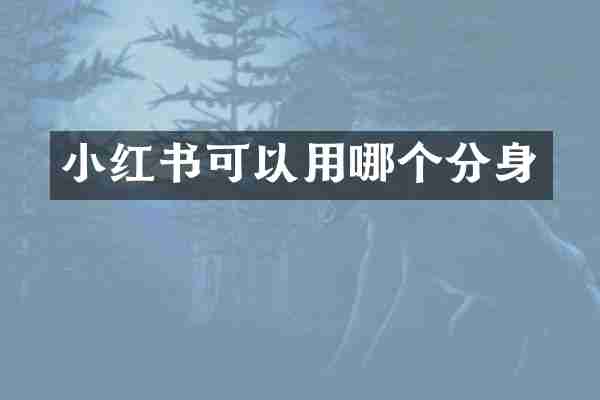 小红书可以用哪个分身