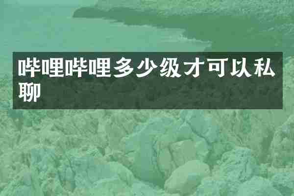 哔哩哔哩多少级才可以私聊