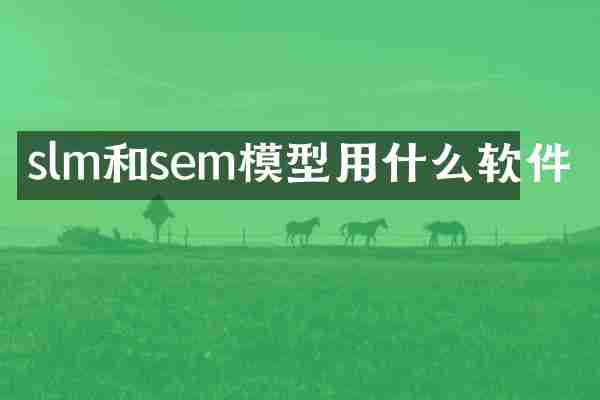 slm和sem模型用什么软件