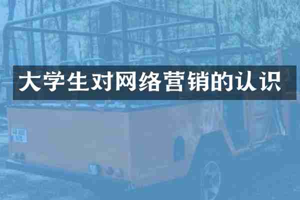 大学生对网络营销的认识
