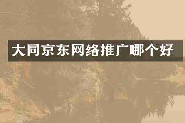 大同京东网络推广哪个好