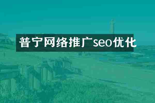 普宁网络推广seo优化