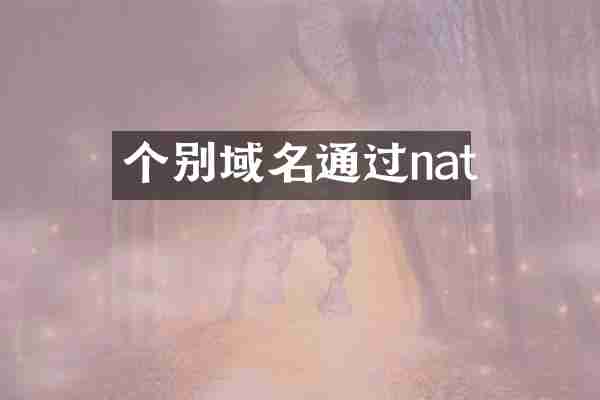 个别域名通过nat