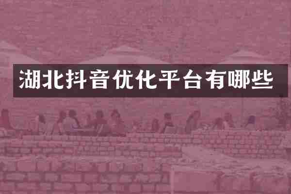 湖北抖音优化平台有哪些
