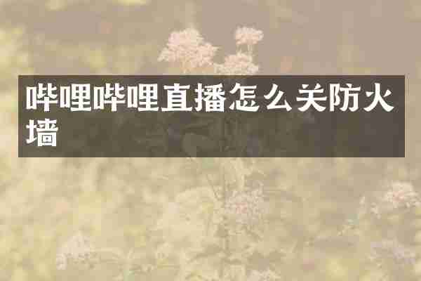 哔哩哔哩直播怎么关防火墙