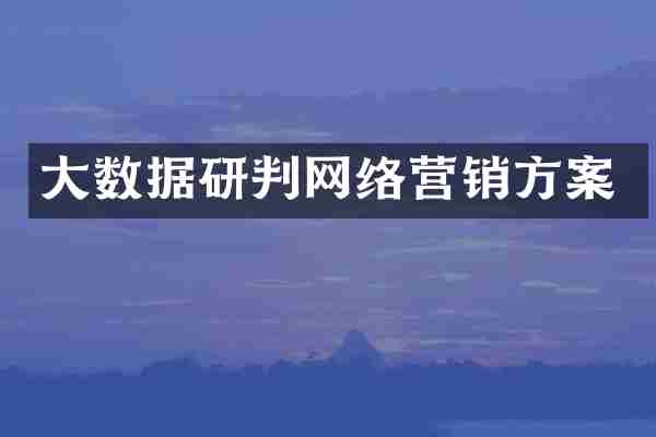 大数据研判网络营销方案