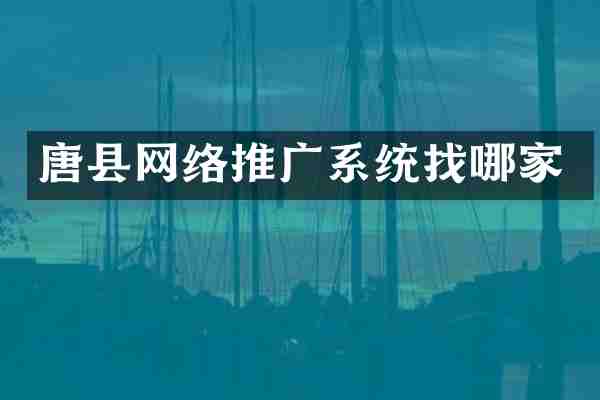 唐县网络推广系统找哪家