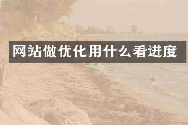 网站做优化用什么看进度