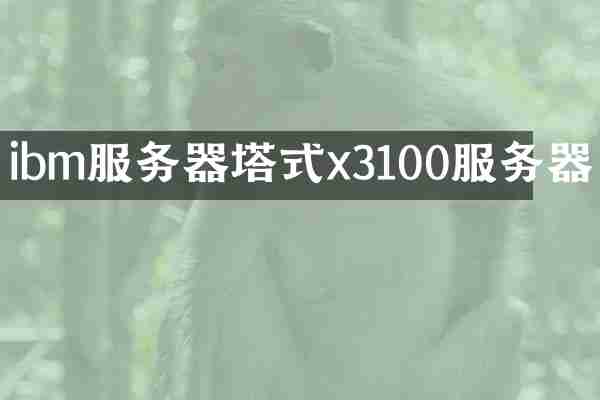 ibm服务器塔式x3100服务器