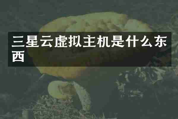三星云虚拟主机是什么东西