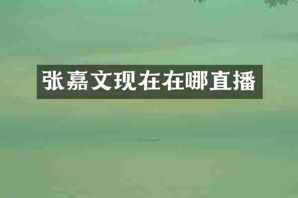 张嘉文现在在哪直播