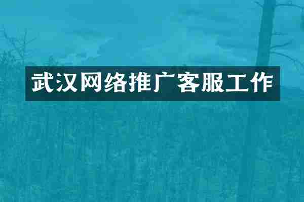武汉网络推广客服工作
