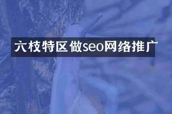 六枝特区做seo网络推广