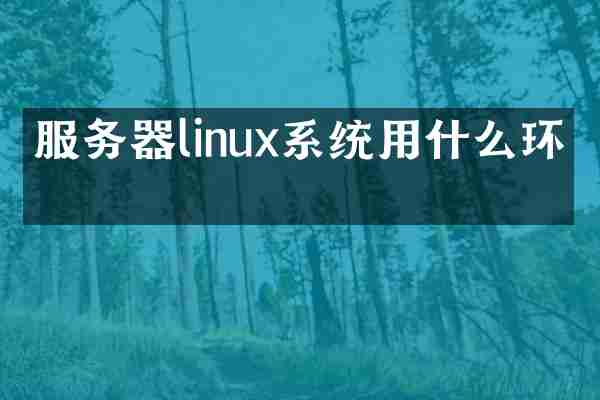服务器linux系统用什么环境