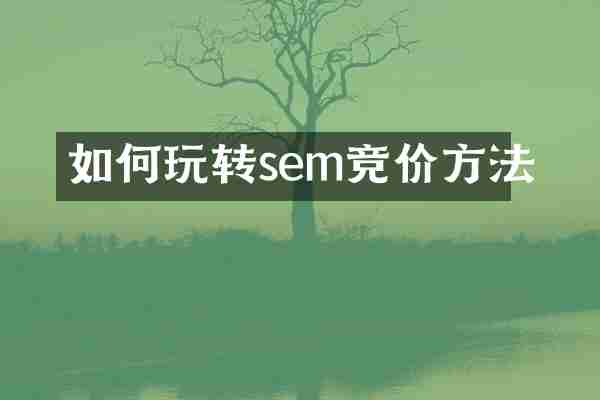 如何玩转sem竞价方法