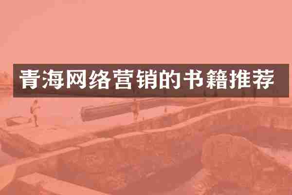 青海网络营销的书籍推荐