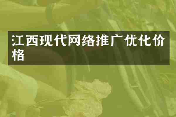 江西现代网络推广优化价格